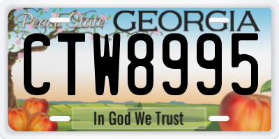 GA license plate CTW8995