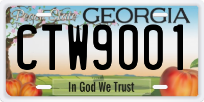 GA license plate CTW9001