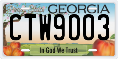 GA license plate CTW9003