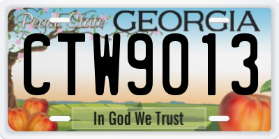 GA license plate CTW9013