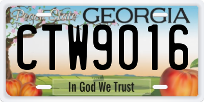 GA license plate CTW9016