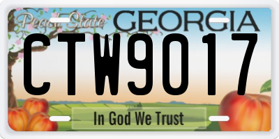 GA license plate CTW9017