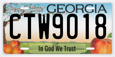 GA license plate CTW9018