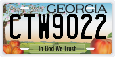 GA license plate CTW9022