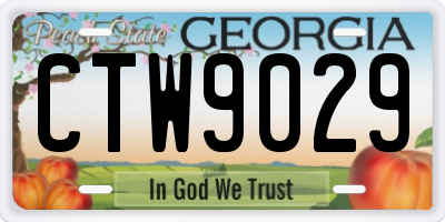GA license plate CTW9029