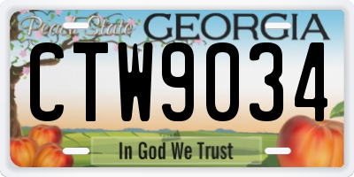GA license plate CTW9034