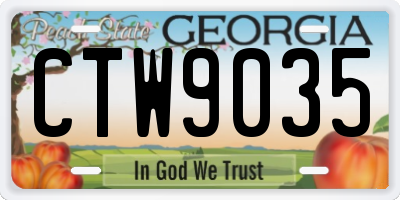 GA license plate CTW9035
