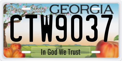 GA license plate CTW9037