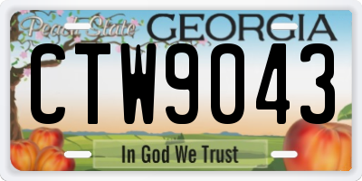 GA license plate CTW9043