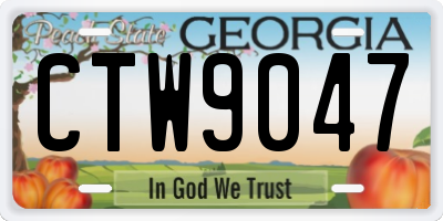 GA license plate CTW9047