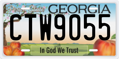 GA license plate CTW9055