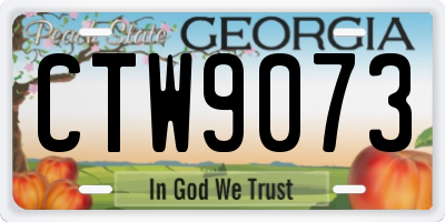 GA license plate CTW9073