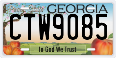 GA license plate CTW9085