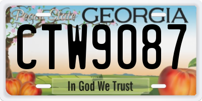 GA license plate CTW9087