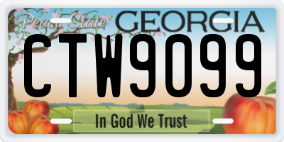 GA license plate CTW9099