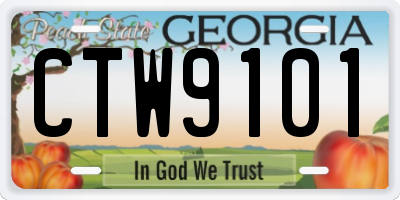 GA license plate CTW9101