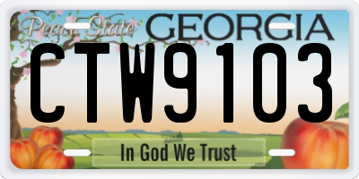 GA license plate CTW9103