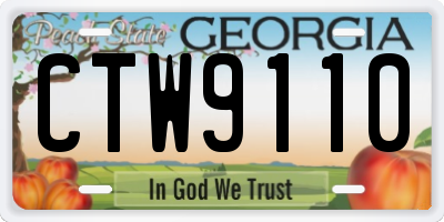 GA license plate CTW9110