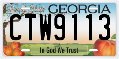 GA license plate CTW9113
