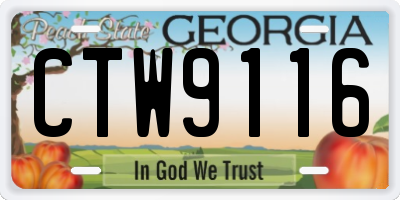 GA license plate CTW9116