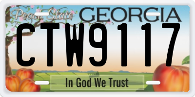 GA license plate CTW9117
