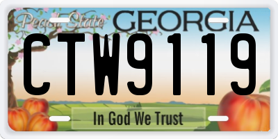 GA license plate CTW9119