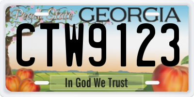 GA license plate CTW9123
