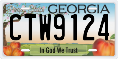 GA license plate CTW9124