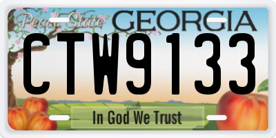 GA license plate CTW9133