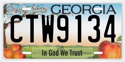 GA license plate CTW9134
