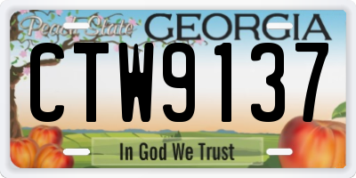 GA license plate CTW9137