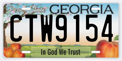 GA license plate CTW9154