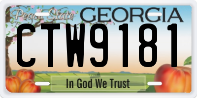 GA license plate CTW9181