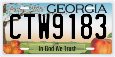 GA license plate CTW9183