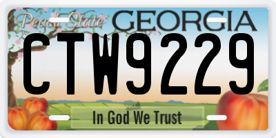 GA license plate CTW9229