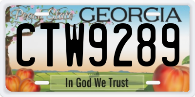 GA license plate CTW9289