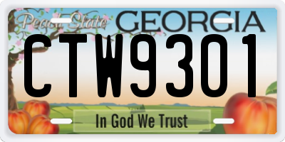 GA license plate CTW9301