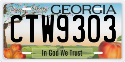 GA license plate CTW9303
