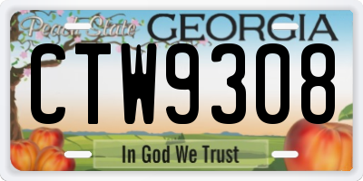 GA license plate CTW9308