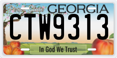 GA license plate CTW9313