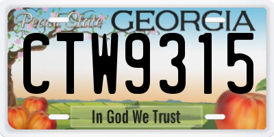 GA license plate CTW9315