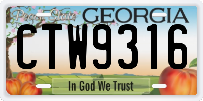 GA license plate CTW9316