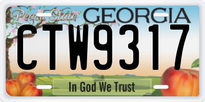 GA license plate CTW9317