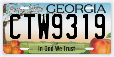 GA license plate CTW9319