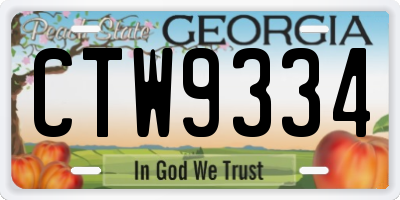 GA license plate CTW9334