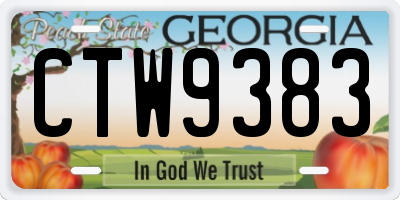 GA license plate CTW9383