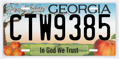 GA license plate CTW9385