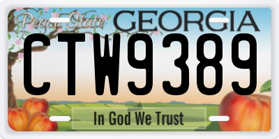 GA license plate CTW9389