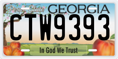 GA license plate CTW9393