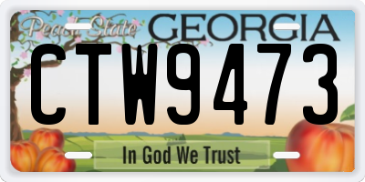 GA license plate CTW9473
